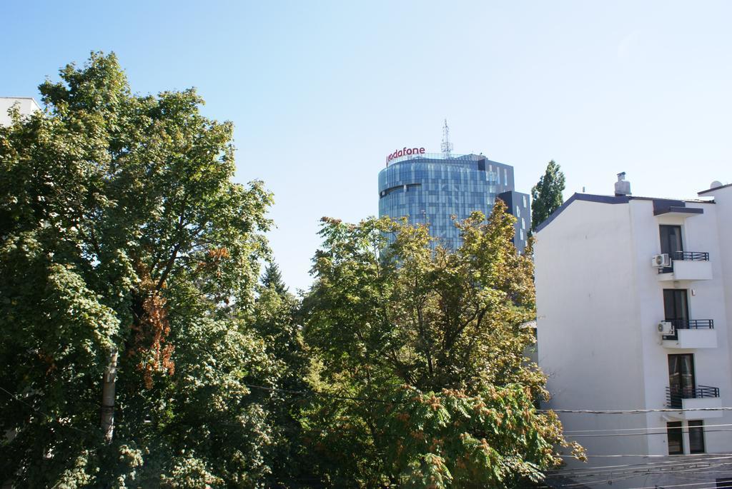 Pensiunea Helvetia Букурещ Стая снимка